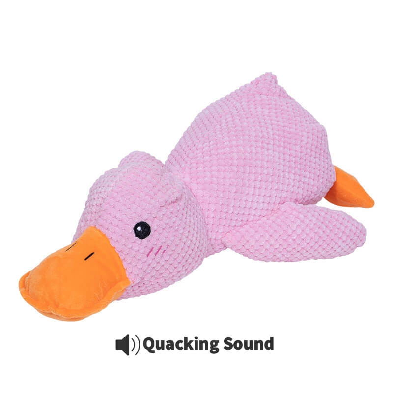 Calming Duck Toy