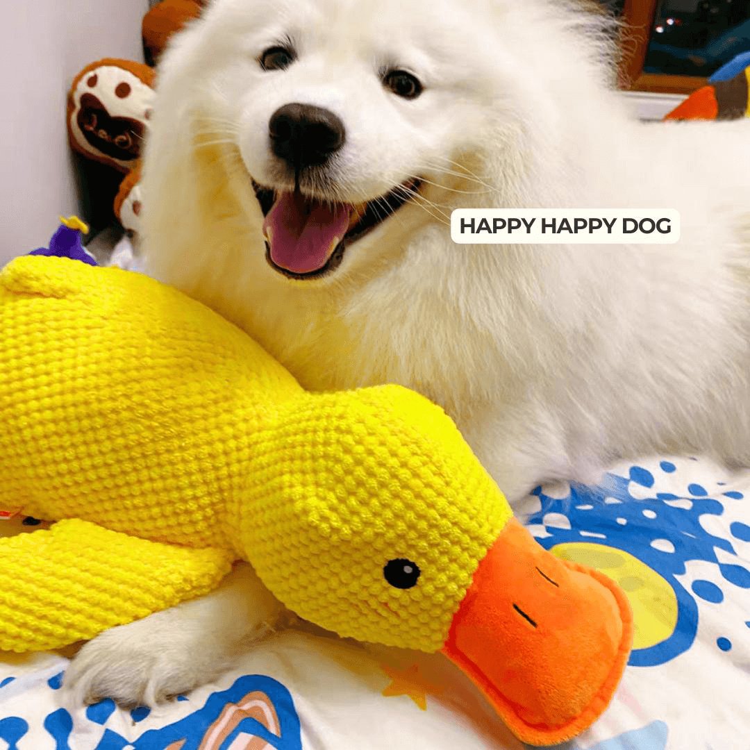 Calming Duck Toy