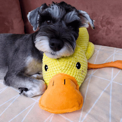 Calming Duck Toy