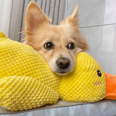 Calming Duck Toy