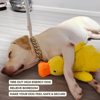 Calming Duck Toy