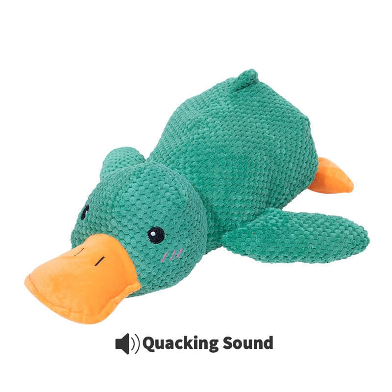 Calming Duck Toy