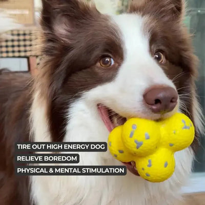 Durable Chew Ball Built for Endless Play