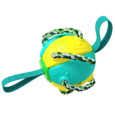 Interactive Flying Disc Ball Dog Toy