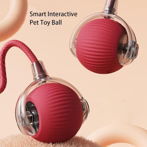 Smart Pet Ball – Interactive & Pet-Friendly