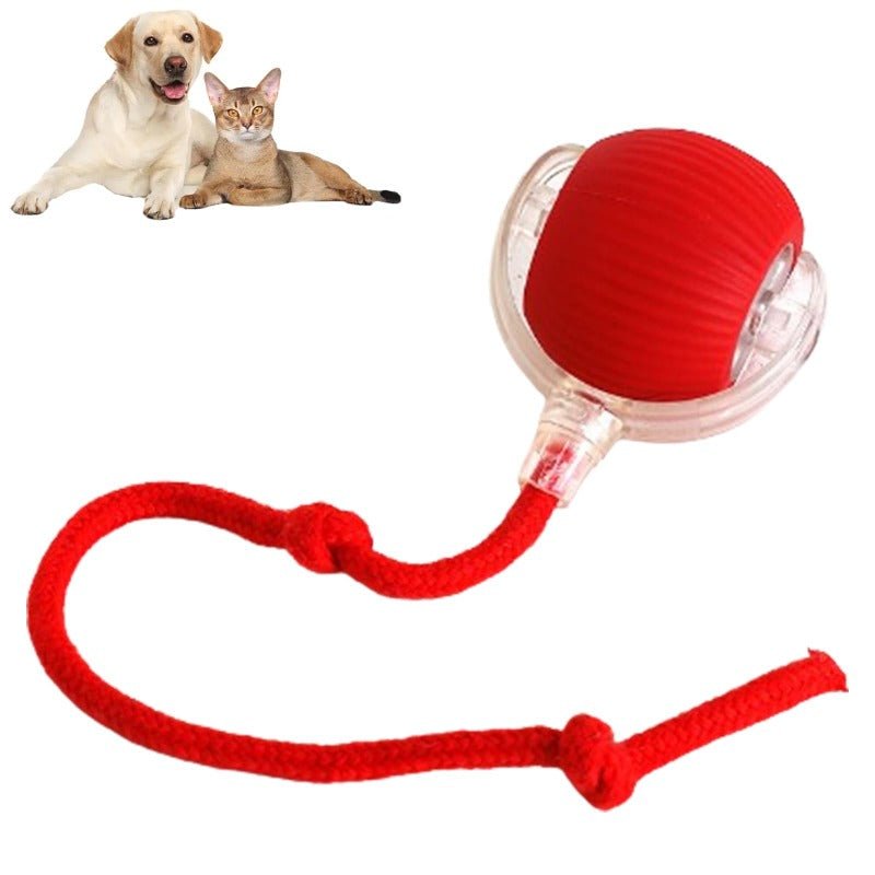 Smart Pet Ball – Interactive & Pet-Friendly