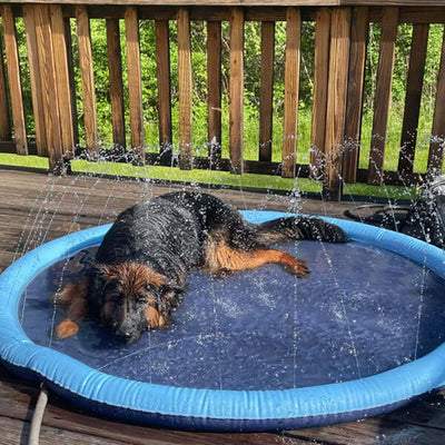 Splash Pad - Endless Doggy Summer Fun!